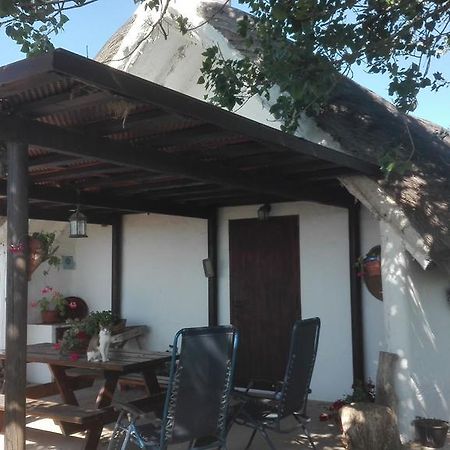 La Barraca D'En Salvador Villa Deltebre Exterior photo
