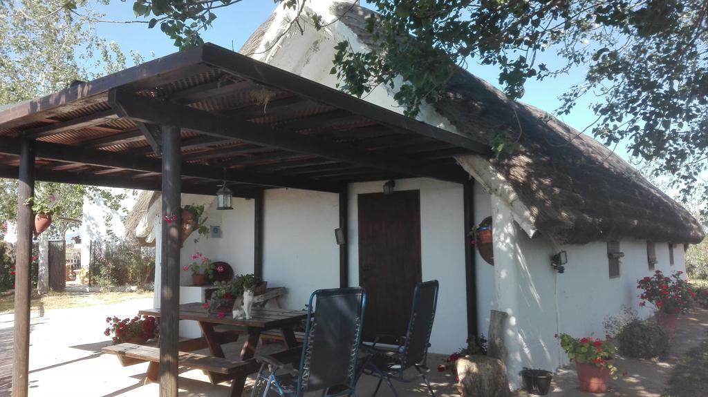 La Barraca D'En Salvador Villa Deltebre Exterior photo