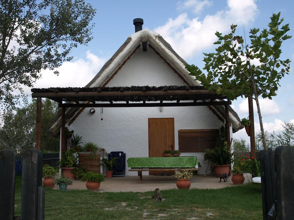 La Barraca D'En Salvador Villa Deltebre Exterior photo